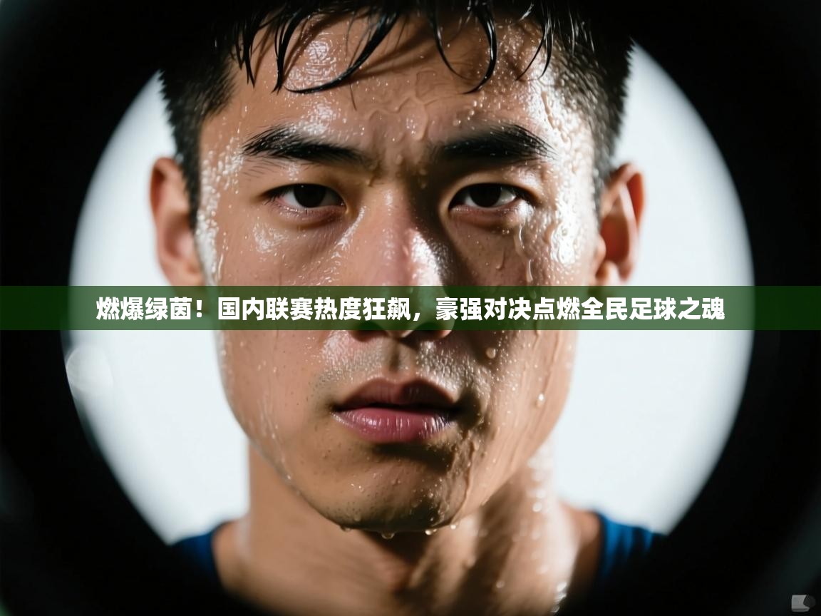 燃爆绿茵！国内联赛热度狂飙，豪强对决点燃全民足球之魂  第2张