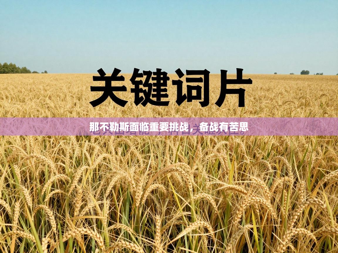 那不勒斯面临重要挑战,备战有苦思 第1张