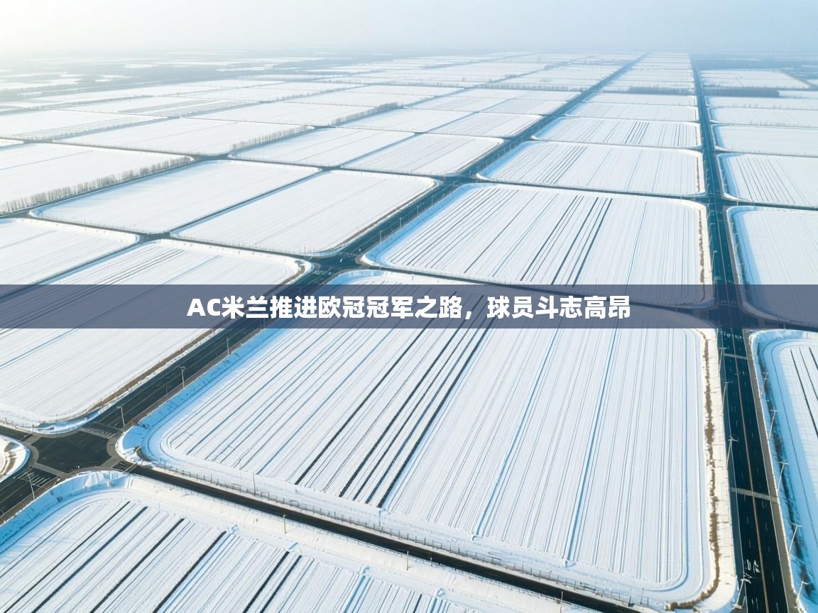 AC米兰推进欧冠冠军之路，球员斗志高昂  第1张