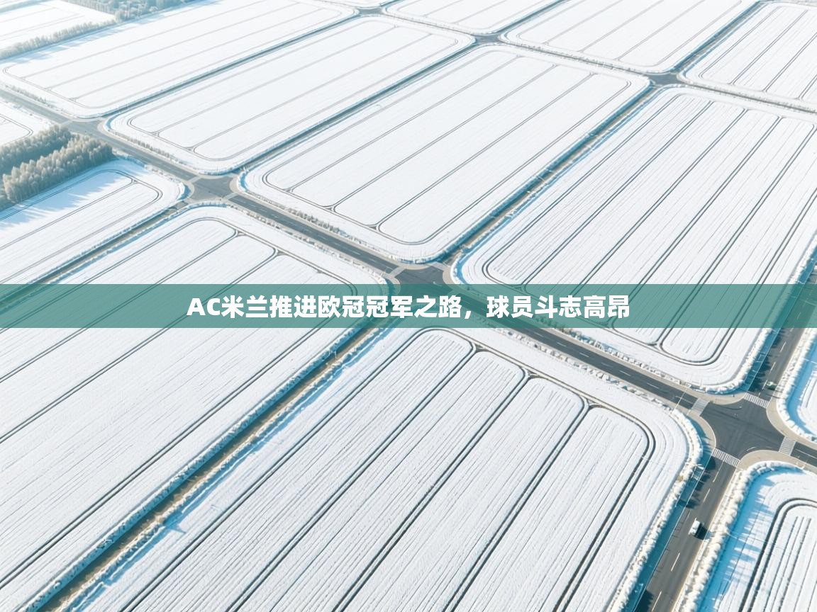 AC米兰推进欧冠冠军之路，球员斗志高昂  第2张