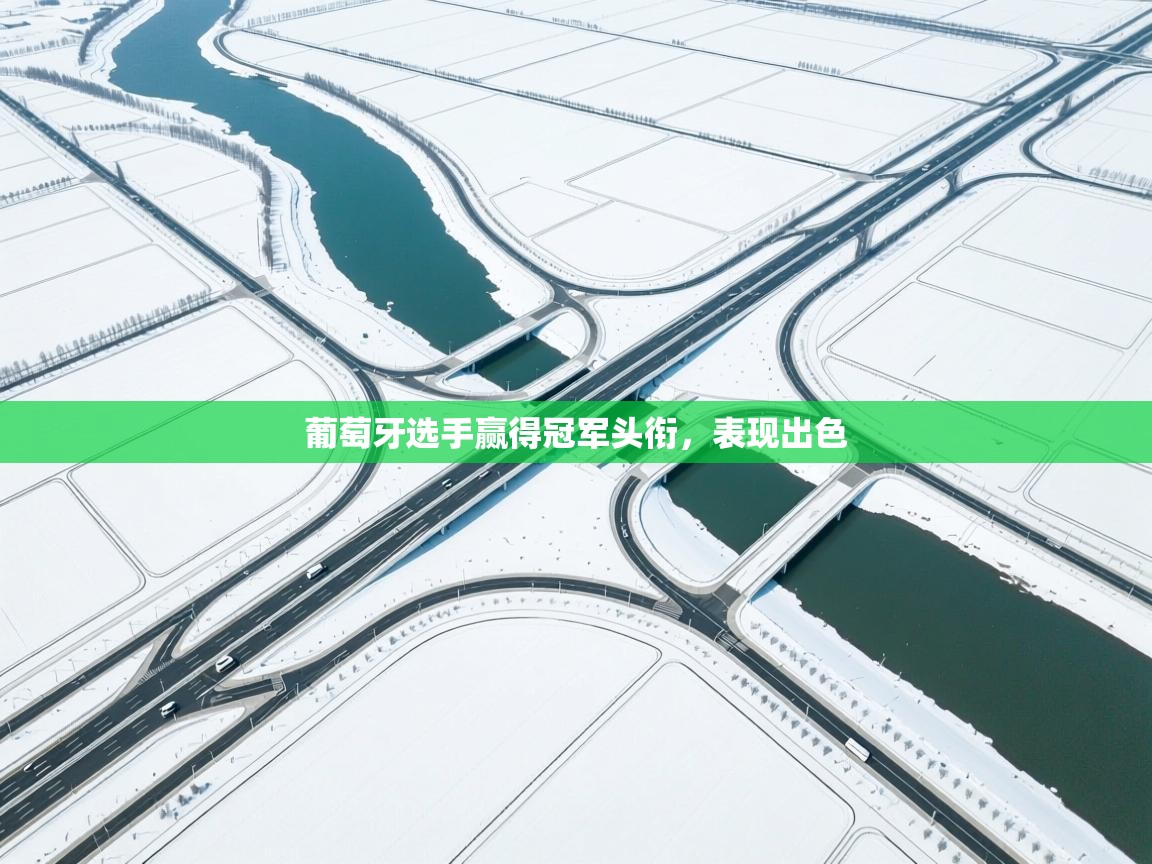 葡萄牙选手赢得冠军头衔,表现出色 第1张