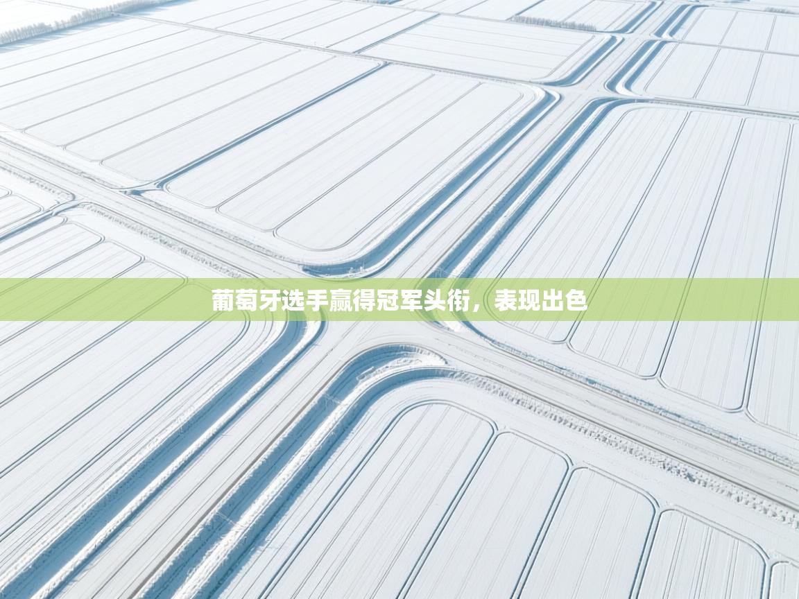 葡萄牙选手赢得冠军头衔,表现出色 第2张